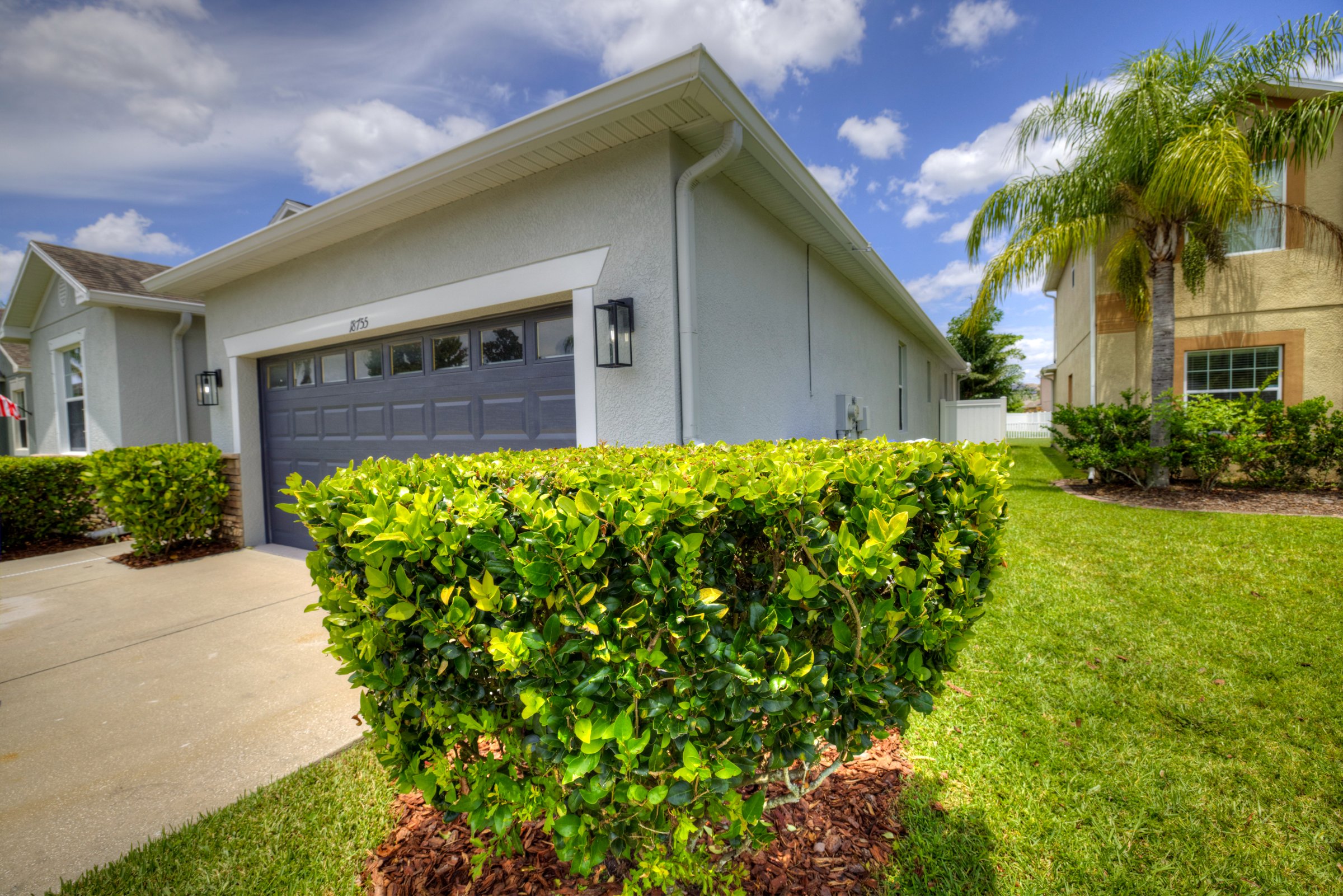 18755 Burndall Court — burndall-02-from-photo-21.jpg 18755 Burndall Court, Land O Lakes FL — interior/exterior photo 2