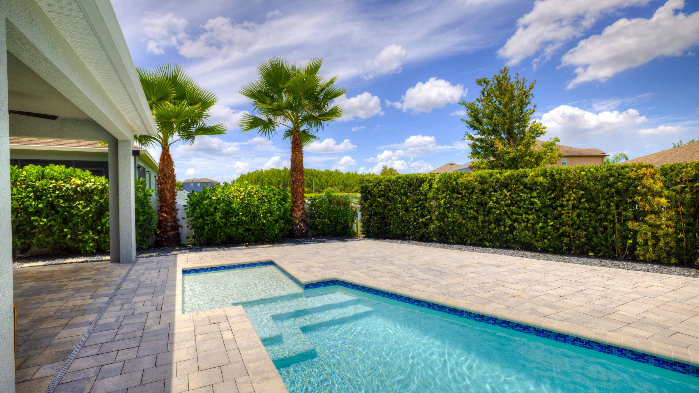 18755 Burndall Court — burndall-47-from-photo-47.jpg Private pool and outdoor living at 18755 Burndall Court, Land O Lakes FL (gallery 47)